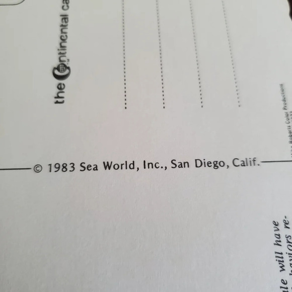 Postcard 1983 Sea World SHAMU Show Orlando Florida - Picture 4 of 4